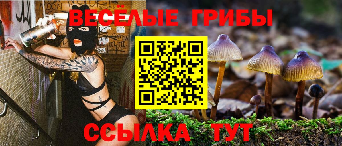 Кирово-Чепецк  Галлюциногенные грибы мицелий  Вход с VPN 